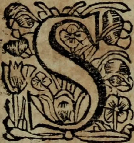 An illustration from Ulrici Huberi De jure civitatis, libri tres : novam juris publici universalis disciplinam continentes : insertis aliquot de jure sacrorum & Ecclesiae, capitibus, 1694, leaf 320