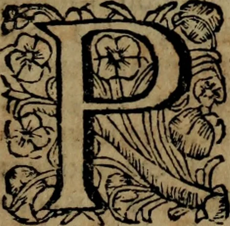 An illustration from Ulrici Huberi De jure civitatis, libri tres : novam juris publici universalis disciplinam continentes : insertis aliquot de jure sacrorum & Ecclesiae, capitibus, 1694, leaf 482