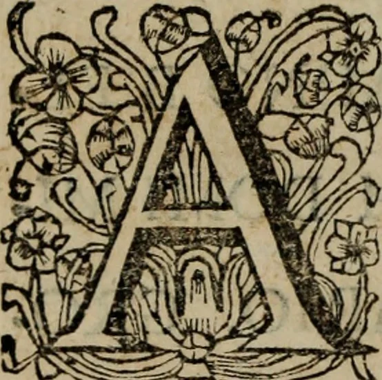 An illustration from Ulrici Huberi De jure civitatis, libri tres : novam juris publici universalis disciplinam continentes : insertis aliquot de jure sacrorum & Ecclesiae, capitibus, 1694, leaf 5