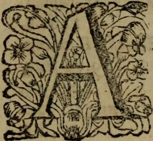 An illustration from Ulrici Huberi De jure civitatis, libri tres : novam juris publici universalis disciplinam continentes : insertis aliquot de jure sacrorum & Ecclesiae, capitibus, 1694, leaf 646