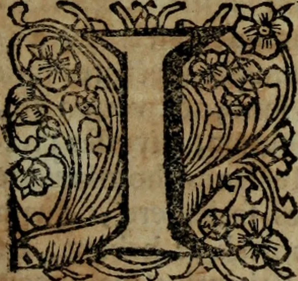 An illustration from Ulrici Huberi De jure civitatis, libri tres : novam juris publici universalis disciplinam continentes : insertis aliquot de jure sacrorum & Ecclesiae, capitibus, 1694, leaf 8