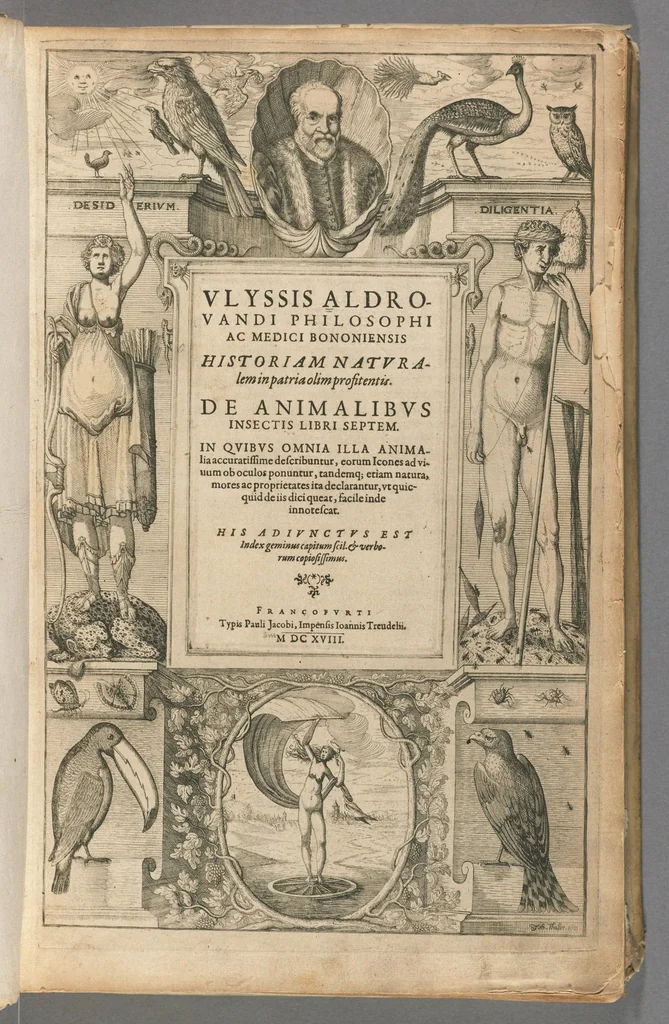 An illustration from Ulyssis Aldrovandi... Historiam naturalem...de animalibus insectis libri septem.., 1618, leaf 5