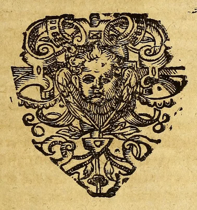 An illustration from Umbständige warhafftige Beschreibung der indianischen Ländern, so vor diesem von den Spaniern eingenommeu [sic] und verwüst worden .., 1665, leaf 133