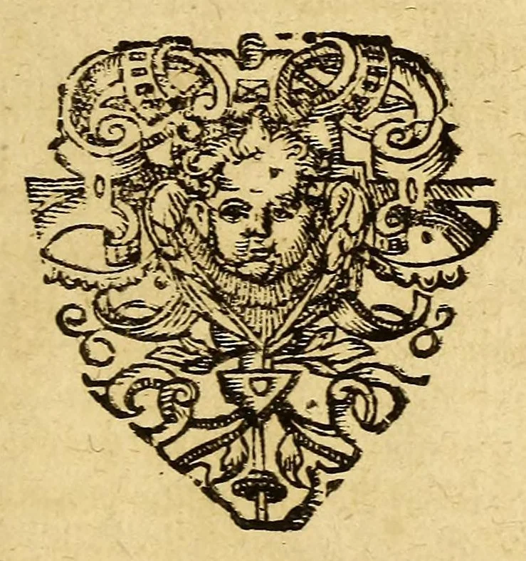 An illustration from Umbständige warhafftige Beschreibung der indianischen Ländern, so vor diesem von den Spaniern eingenommeu [sic] und verwüst worden .., 1665, leaf 127