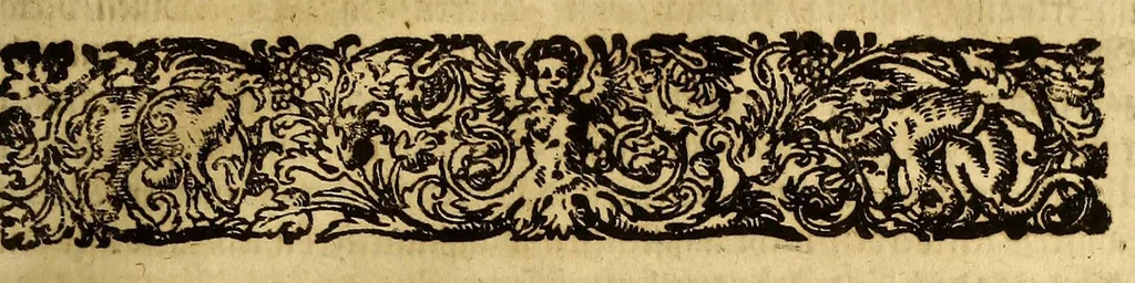An illustration from Umbständige warhafftige Beschreibung der indianischen Ländern, so vor diesem von den Spaniern eingenommeu [sic] und verwüst worden .., 1665, leaf 9