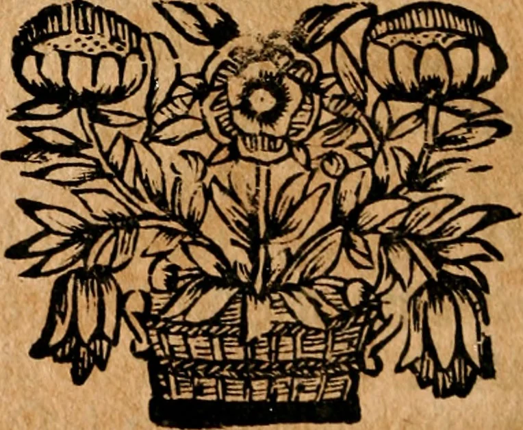 An illustration from Umständige geographische Beschreibung der zu allerletzt erfundenen Provintz Pensylvaniæ, in denen end-gräntzen Americæ in der West-Welt gelegen, / durch Franciscum Danielem Pastorium ... Worbey angehencket sind einige notable Begebenheiten, / und bericht-schreiben an dessen Herzn Vattern Melchiorem Adamum Pastorium, und andere gute Freunde, 1700, leaf 15