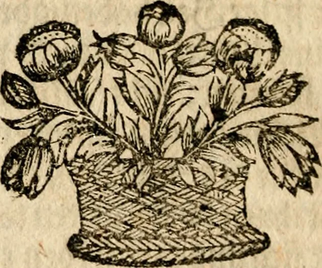 An illustration from Umständige geographische Beschreibung der zu allerletzt erfundenen Provintz Pensylvaniæ, in denen end-gräntzen Americæ in der West-Welt gelegen, / durch Franciscum Danielem Pastorium ... Worbey angehencket sind einige notable Begebenheiten, / und bericht-schreiben an dessen Herzn Vattern Melchiorem Adamum Pastorium, und andere gute Freunde, 1700, leaf 29