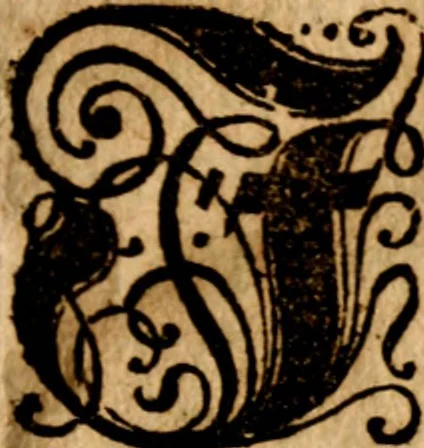 An illustration from Umständige geographische Beschreibung der zu allerletzt erfundenen Provintz Pensylvaniæ, in denen end-gräntzen Americæ in der West-Welt gelegen, / durch Franciscum Danielem Pastorium ... Worbey angehencket sind einige notable Begebenheiten, / und bericht-schreiben an dessen Herzn Vattern Melchiorem Adamum Pastorium, und andere gute Freunde, 1700, leaf 6