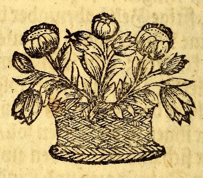 An illustration from Umständige geographische Beschreibung der zu allerletzt erfundenen Provintz Pensylvaniae, : in denen End-Gräntzen Americae in der West-Welt gelegen,, 1700, leaf 32