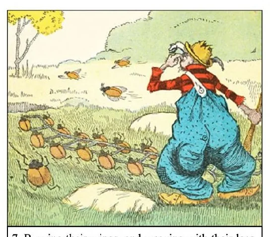 An illustration from UNCLE WIGGILY' S JUNE BUG FRIENDS - Bk7- By HOWARD GARIS - GUNSTON CLASSICS, 1919, leaf 11