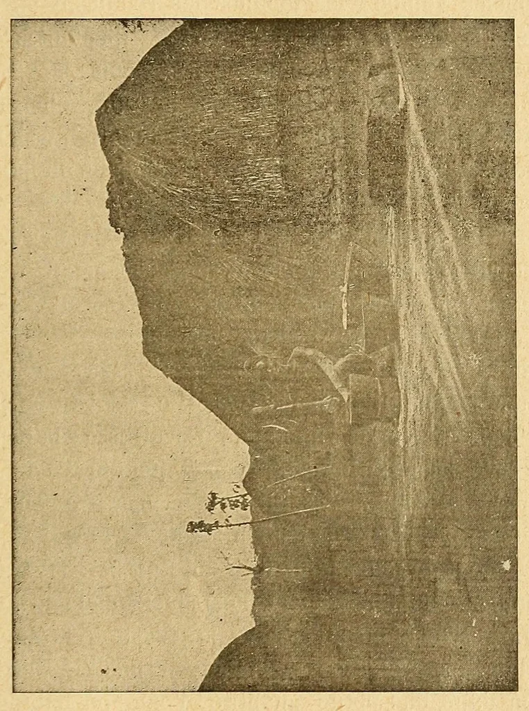An illustration from Un coin du Congo : le cercle de Kundé, 1903, leaf 119