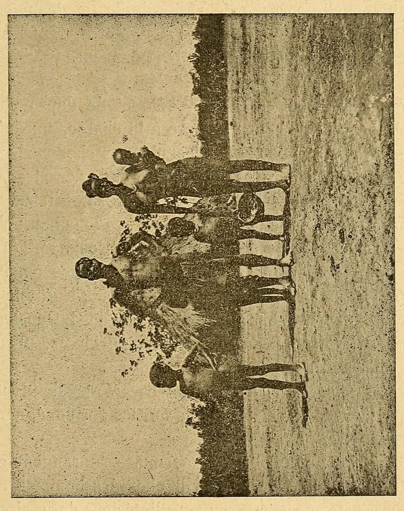 An illustration from Un coin du Congo : le cercle de Kundé, 1903, leaf 133