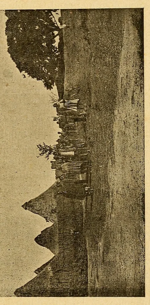 An illustration from Un coin du Congo : le cercle de Kundé, 1903, leaf 51