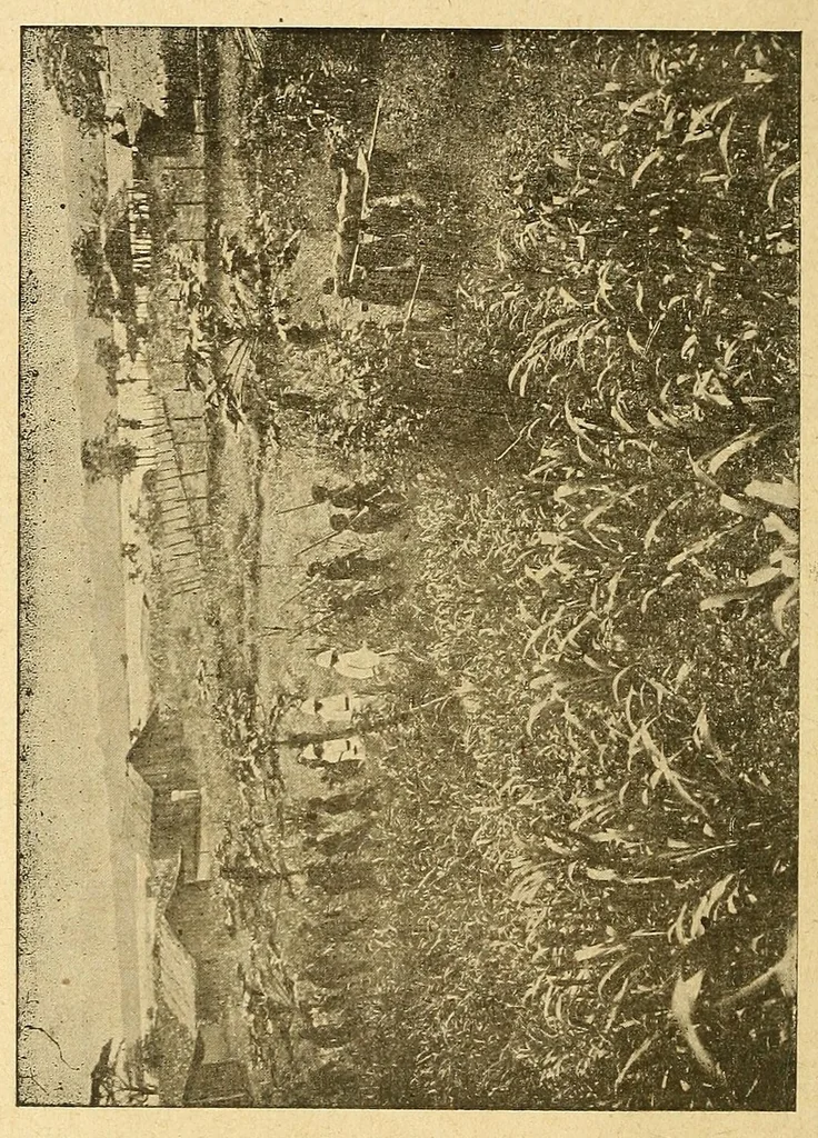An illustration from Un coin du Congo : le cercle de Kundé, 1903, leaf 72