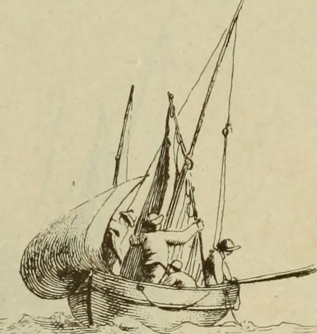 An illustration from Une famille d'artistes brestois au XVIIIe siècle: les Ozanne, 1891, leaf 240