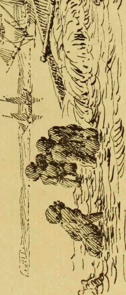 An illustration from Une famille d'artistes brestois au XVIIIe siècle: les Ozanne, 1891, leaf 300