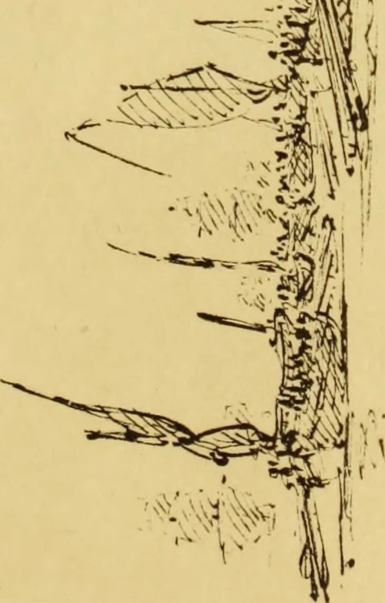An illustration from Une famille d'artistes brestois au XVIIIe siècle: les Ozanne, 1891, leaf 396
