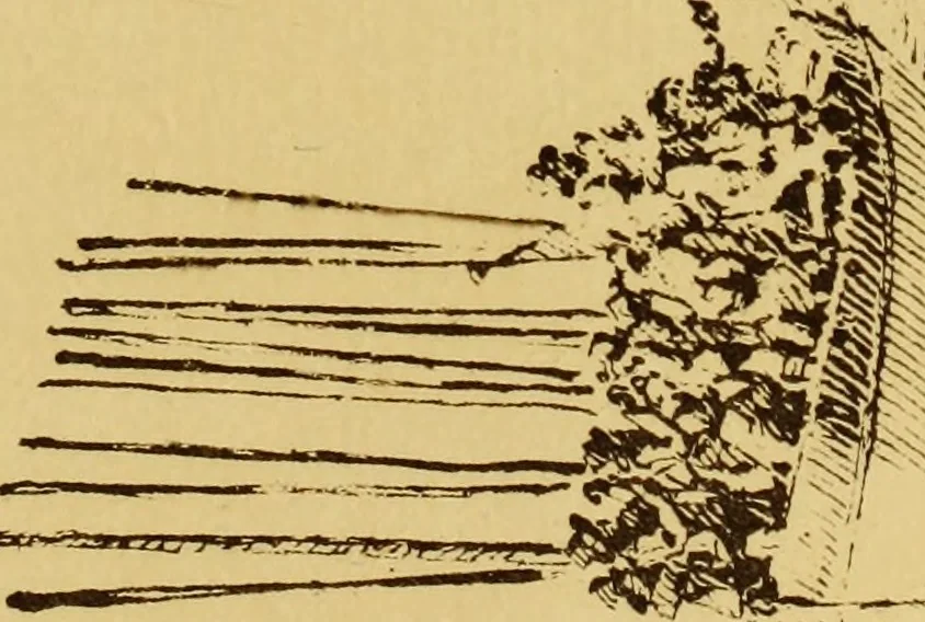 An illustration from Une famille d'artistes brestois au XVIIIe siècle: les Ozanne, 1891, leaf 416