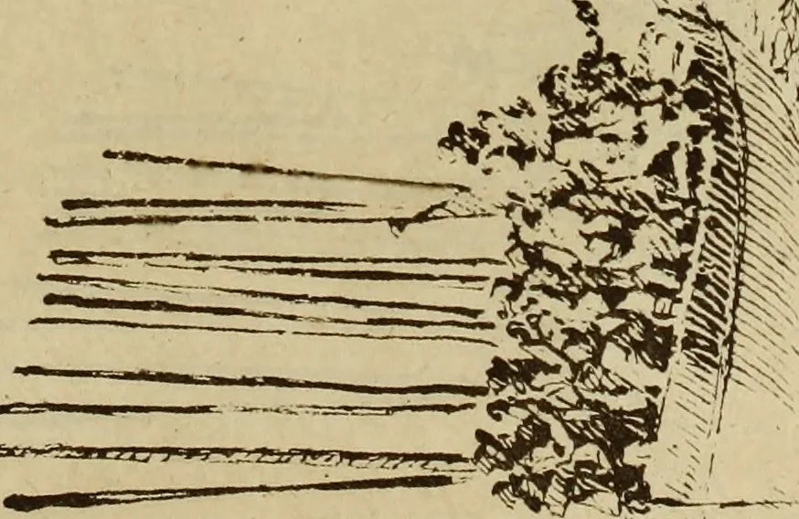 An illustration from Une famille d'artistes brestois au XVIIIe siècle: les Ozanne, 1891, leaf 418