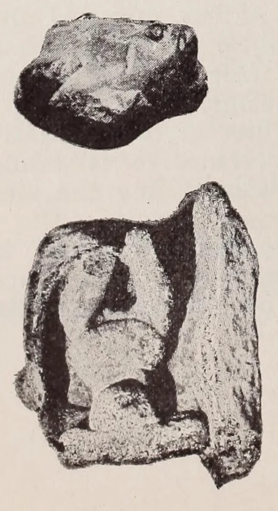 An illustration from Un gran descubrimiento arqueológico : los tecpaneca en el Valle de México, 1920, leaf 46