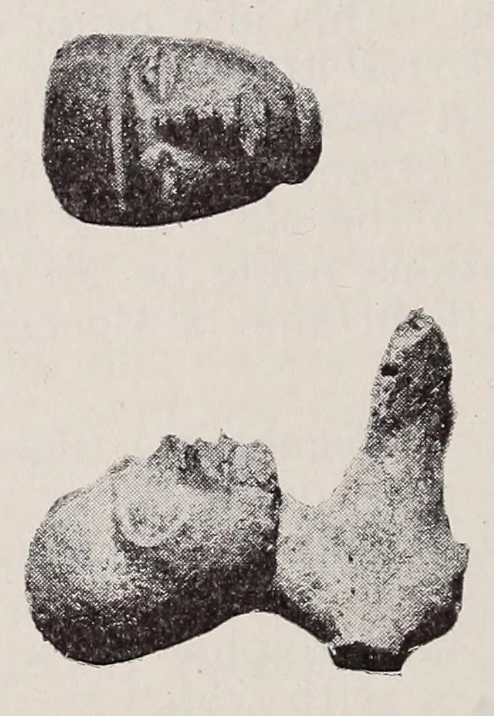 An illustration from Un gran descubrimiento arqueológico : los tecpaneca en el Valle de México, 1920, leaf 46