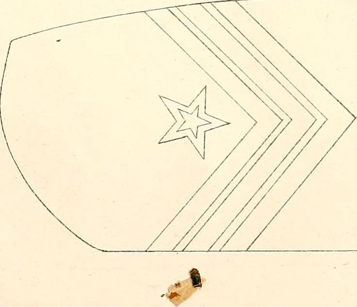 An illustration from Uniform and dress of the army of the Confederate States, 1861, leaf 36