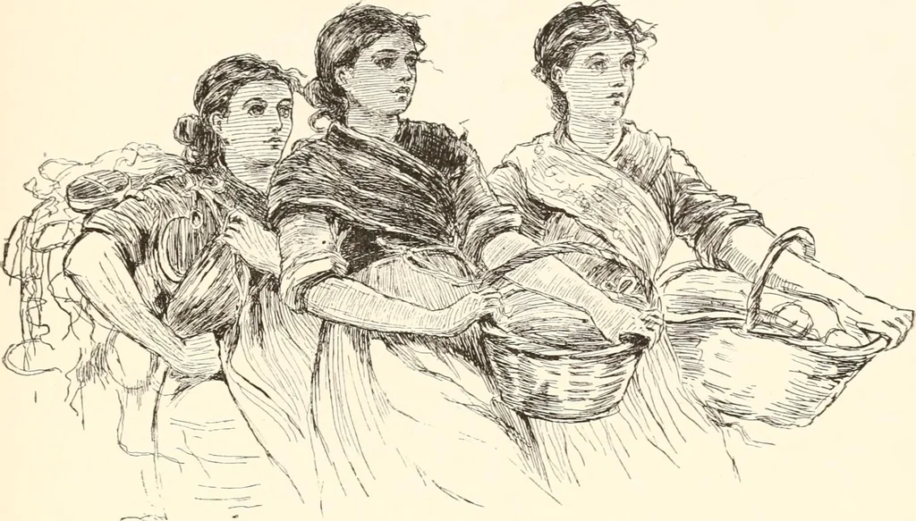 An illustration from The United States art directory and yearbook : [1st-2d year] : a guide for artists, art students, travellers, etc., 1888, leaf 262