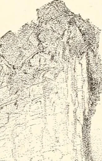 An illustration from The United States art directory and yearbook : [1st-2d year] : a guide for artists, art students, travellers, etc., 1888, leaf 266