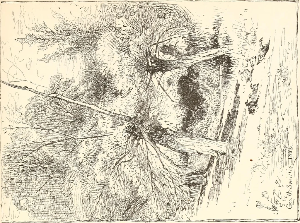 An illustration from The United States art directory and yearbook : [1st-2d year] : a guide for artists, art students, travellers, etc., 1888, leaf 270
