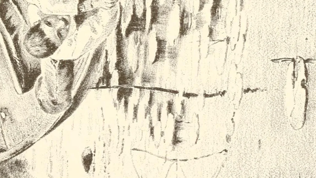 An illustration from The United States art directory and yearbook : [1st-2d year] : a guide for artists, art students, travellers, etc., 1888, leaf 296