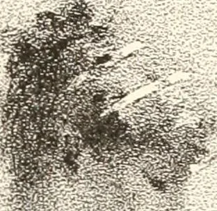 An illustration from The United States art directory and yearbook : [1st-2d year] : a guide for artists, art students, travellers, etc., 1888, leaf 310