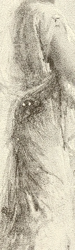 An illustration from The United States art directory and yearbook : [1st-2d year] : a guide for artists, art students, travellers, etc., 1888, leaf 310