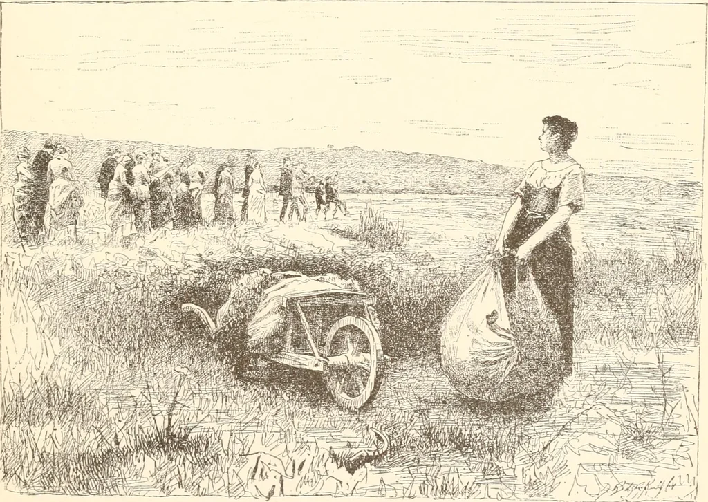 An illustration from The United States art directory and yearbook : [1st-2d year] : a guide for artists, art students, travellers, etc., 1888, leaf 338