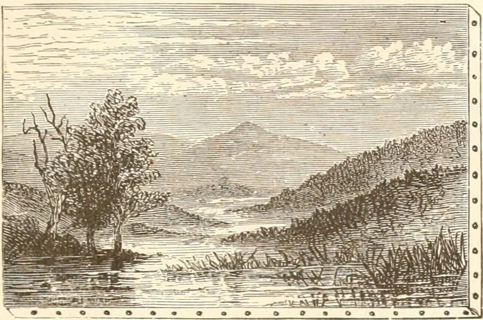 An illustration from The United States art directory and yearbook : [1st-2d year] : a guide for artists, art students, travellers, etc., 1888, leaf 376