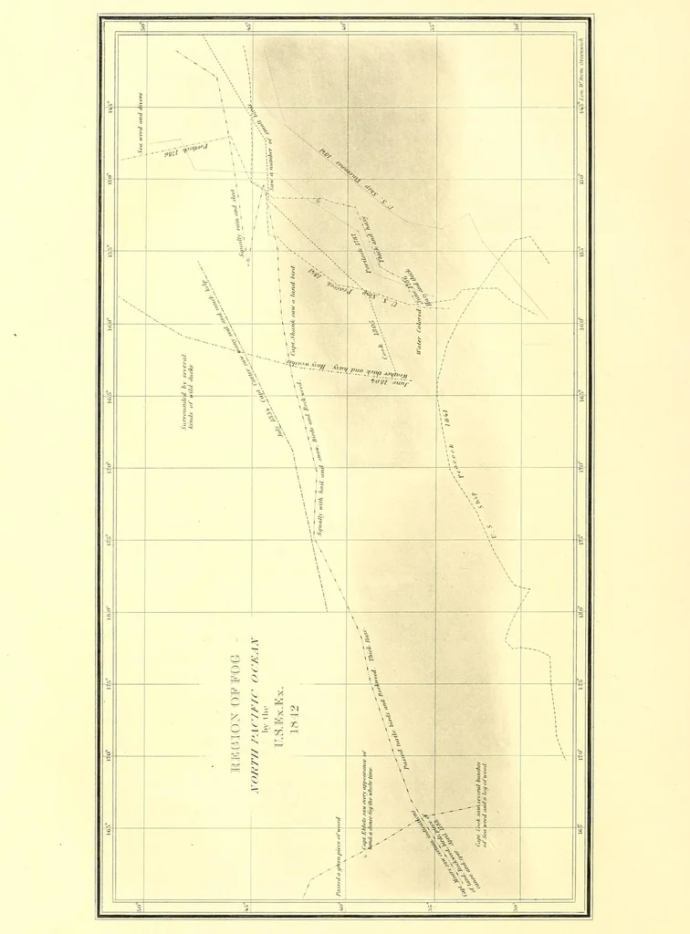 An illustration from United States Exploring Expedition. During the year 1838, 1839, 1840, 1841, 1842, 1844, leaf 104