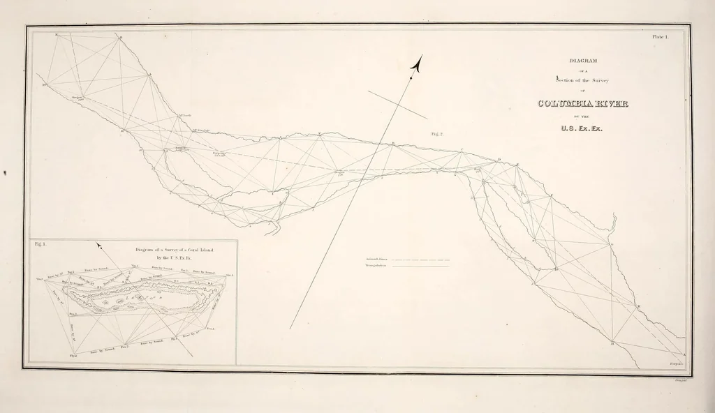 An illustration from United States Exploring Expedition. During the year 1838, 1839, 1840, 1841, 1842, 1844, leaf 20