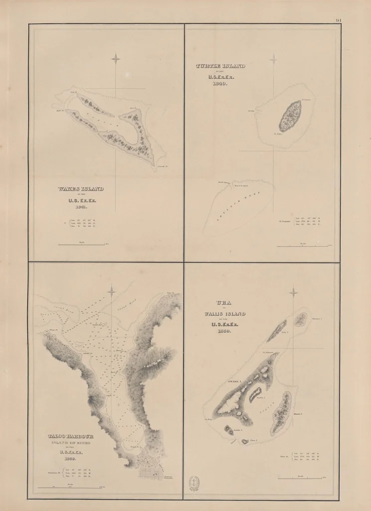 An illustration from United States Exploring Expedition. During the year 1838, 1839, 1840, 1841, 1842, 1844, leaf 127