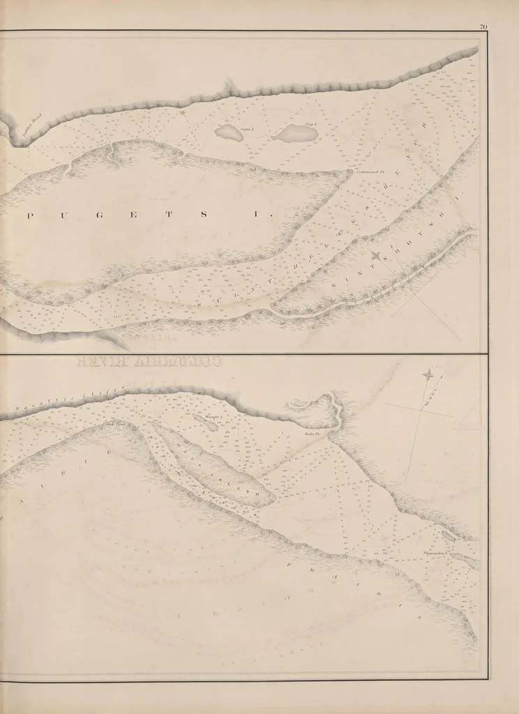 An illustration from United States Exploring Expedition. During the year 1838, 1839, 1840, 1841, 1842, 1844, leaf 45