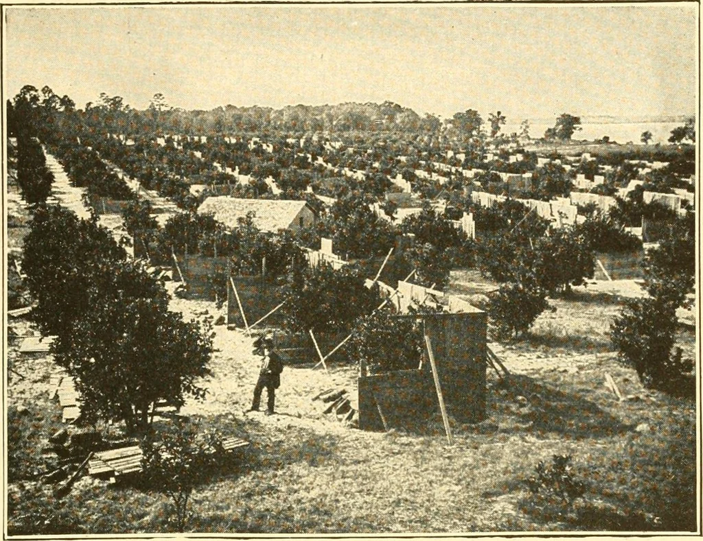 An illustration from The United States in prophecy; our country, its past, present, and future, and what the Scriptures say of it, 1914, leaf 148