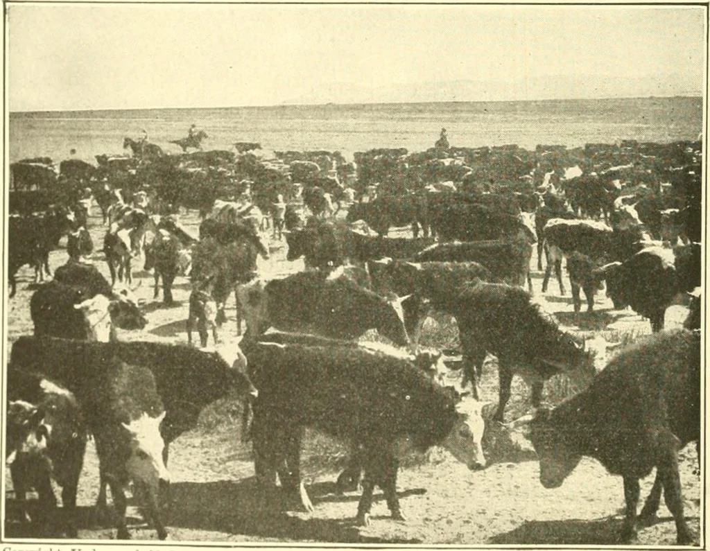 An illustration from The United States in prophecy; our country, its past, present, and future, and what the Scriptures say of it, 1914, leaf 151