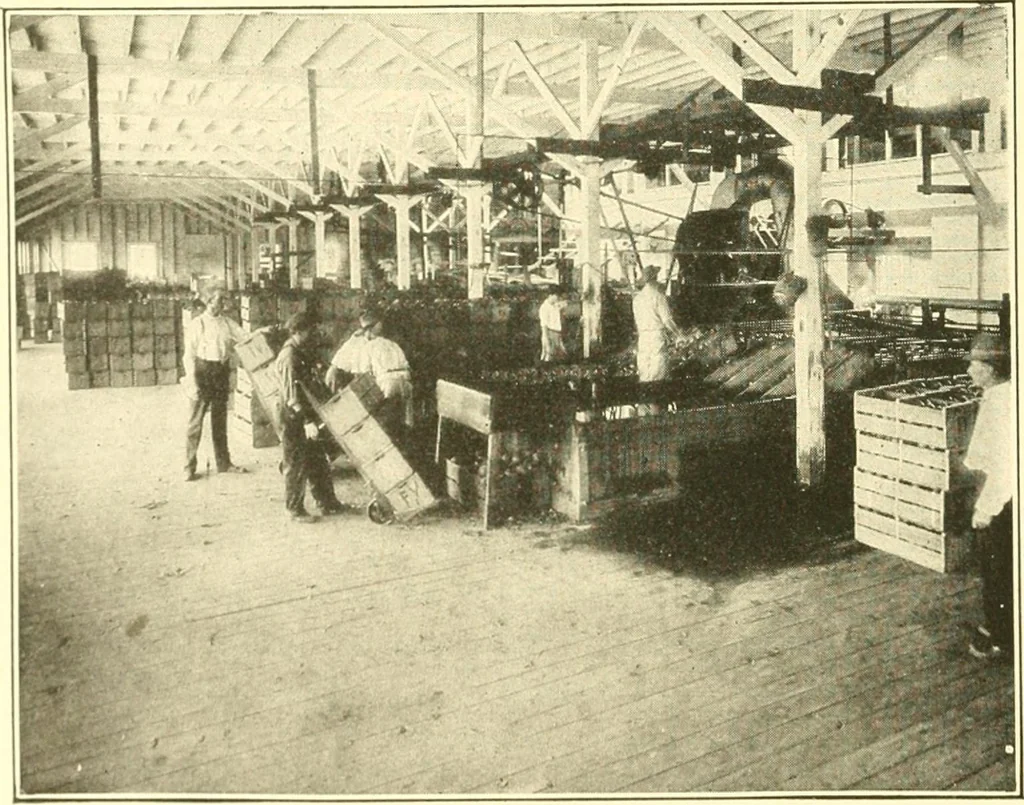 An illustration from The United States in prophecy; our country, its past, present, and future, and what the Scriptures say of it, 1914, leaf 155