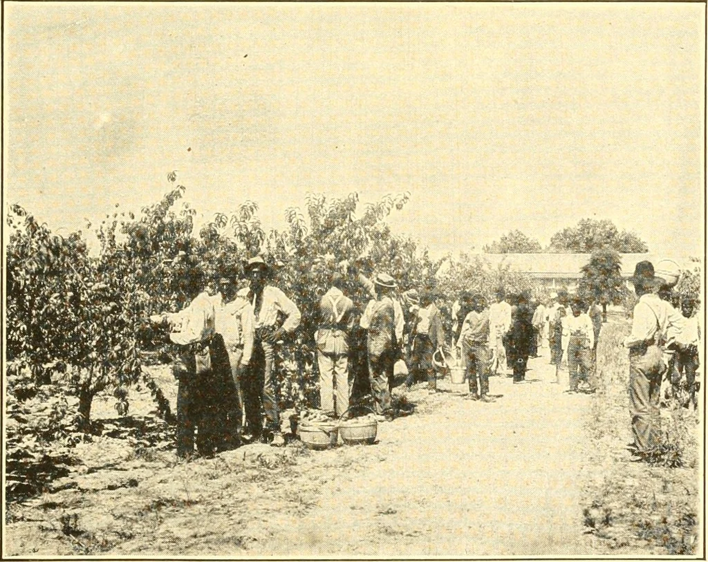 An illustration from The United States in prophecy; our country, its past, present, and future, and what the Scriptures say of it, 1914, leaf 230
