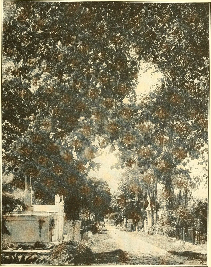 An illustration from The United States in prophecy; our country, its past, present, and future, and what the Scriptures say of it, 1914, leaf 372