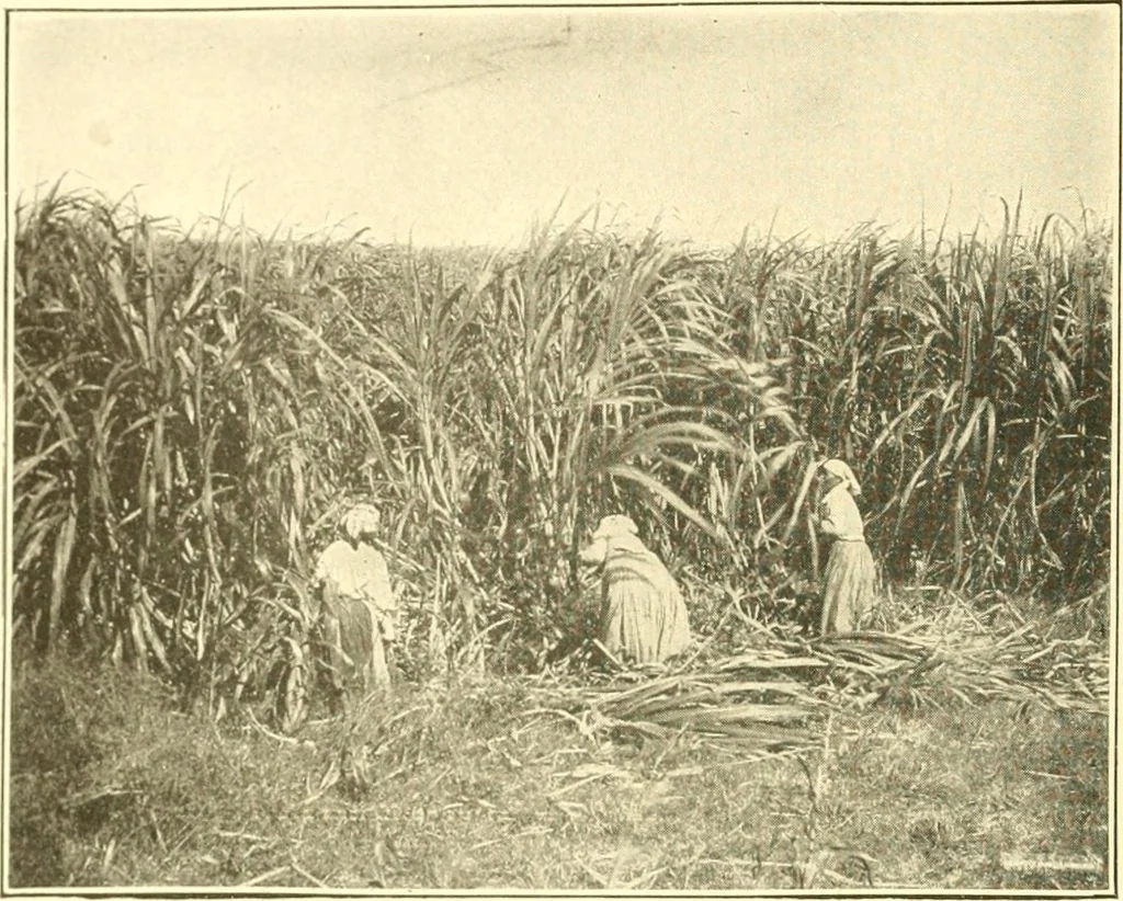 An illustration from The United States in prophecy; our country, its past, present, and future, and what the Scriptures say of it, 1914, leaf 51