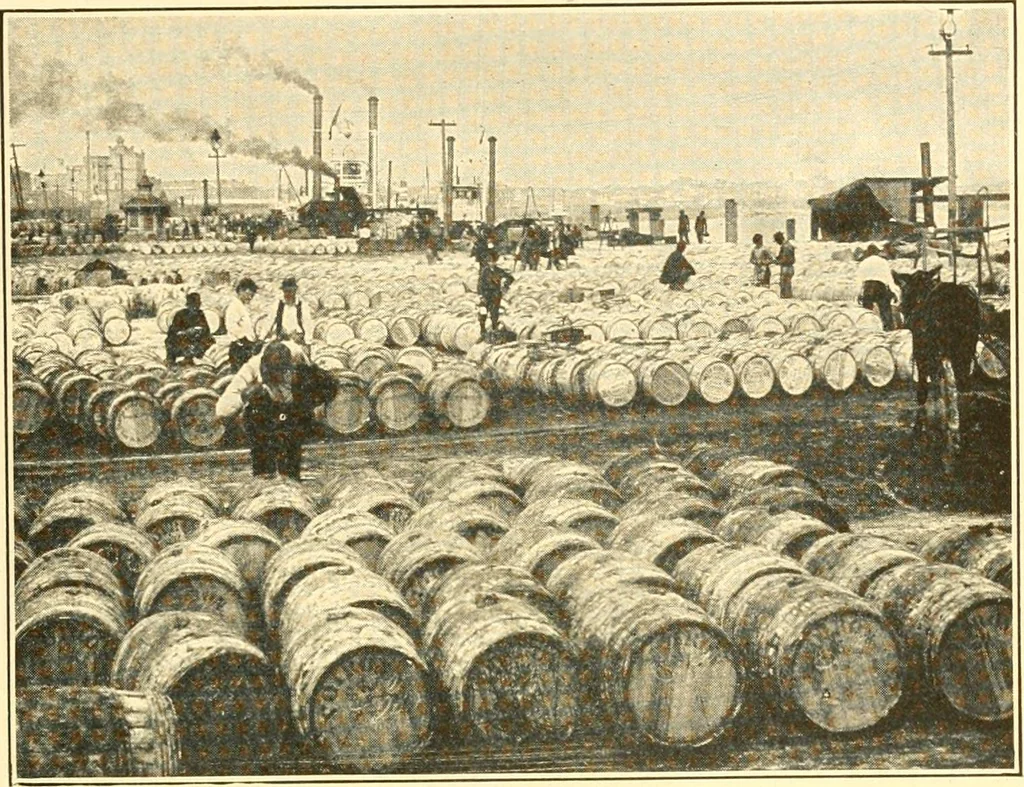 An illustration from The United States in prophecy; our country, its past, present, and future, and what the Scriptures say of it, 1914, leaf 52