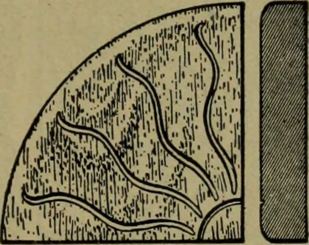 An illustration from Universal design book : containing official list prices of sash, doors and blinds ... official list prices of head, corner and base blocks ... official moulding book ... official list: window glass .., 1908, leaf 116