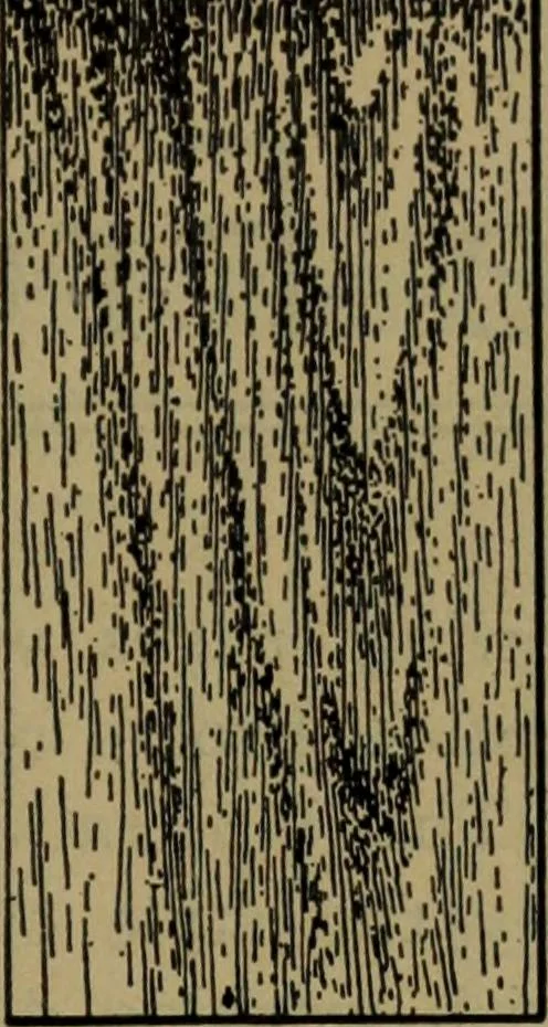 An illustration from Universal design book : containing official list prices of sash, doors and blinds ... official list prices of head, corner and base blocks ... official moulding book ... official list: window glass .., 1908, leaf 118