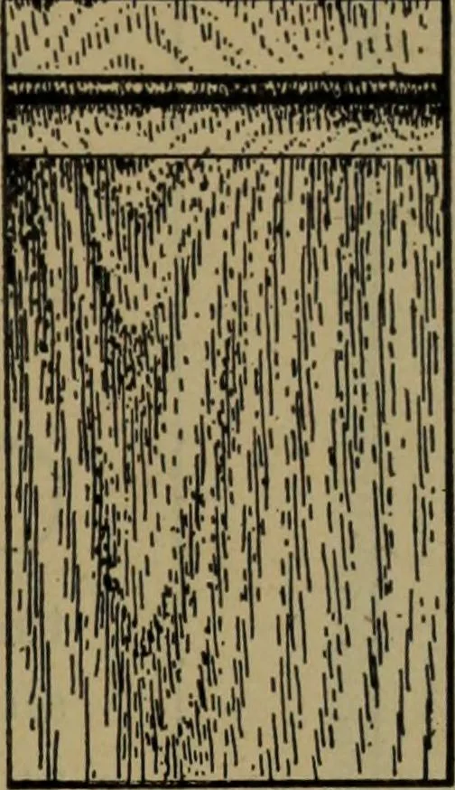 An illustration from Universal design book : containing official list prices of sash, doors and blinds ... official list prices of head, corner and base blocks ... official moulding book ... official list: window glass .., 1908, leaf 118