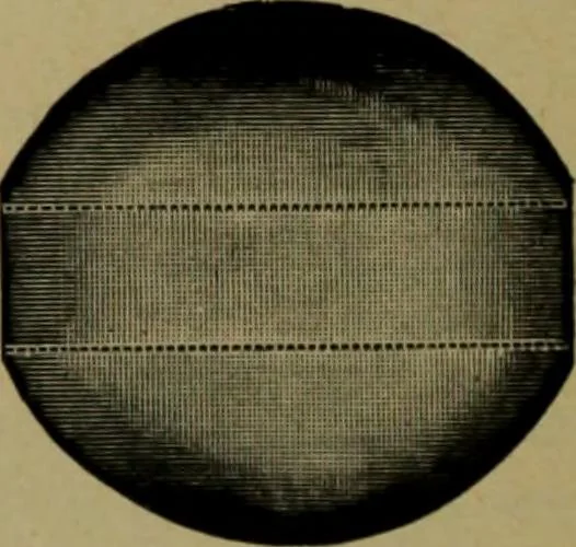 An illustration from Universal design book : containing official list prices of sash, doors and blinds ... official list prices of head, corner and base blocks ... official moulding book ... official list: window glass .., 1908, leaf 281