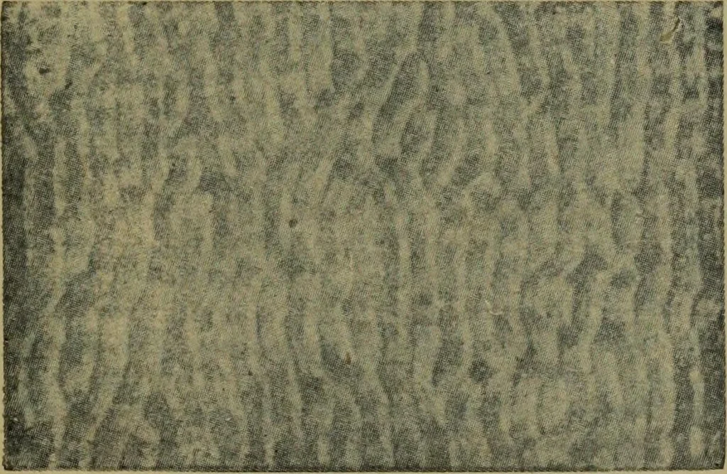 An illustration from Universal design book : containing official list prices of sash, doors and blinds ... official list prices of head, corner and base blocks ... official moulding book ... official list: window glass .., 1908, leaf 364
